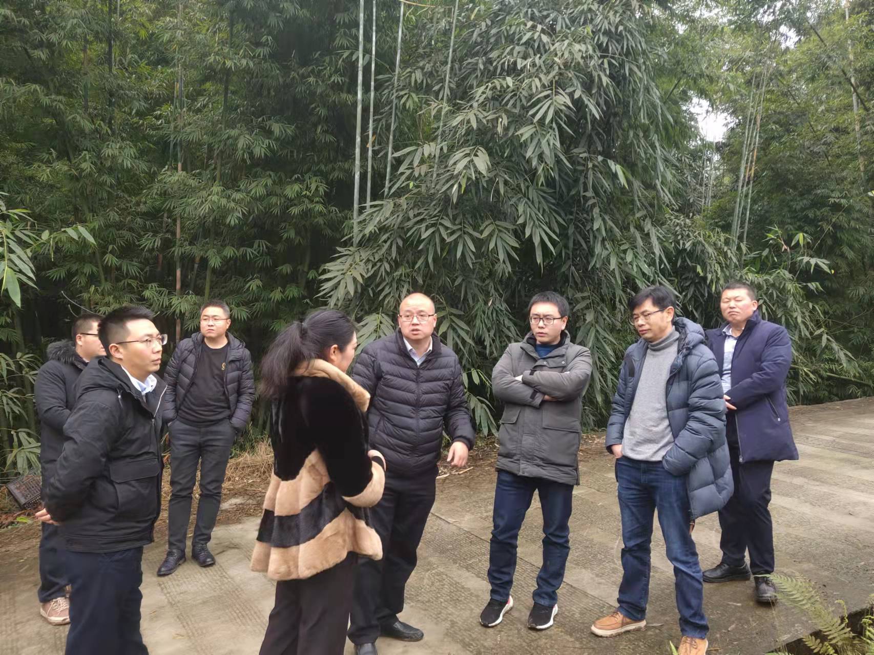 平台专家组赴叙永县调研